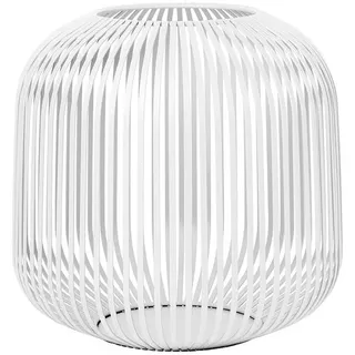 white M