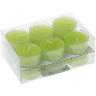 Wiedemann Kerzen Teelichter in Kunststoffhülle Fresh 18 mm 12 St. grün
