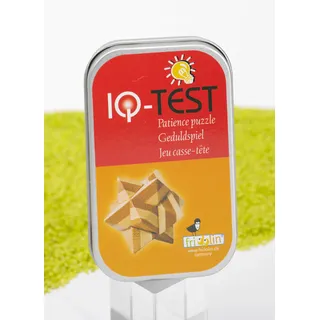 Fridolin IQ Test Bambus Puzzle in der Dose Stern