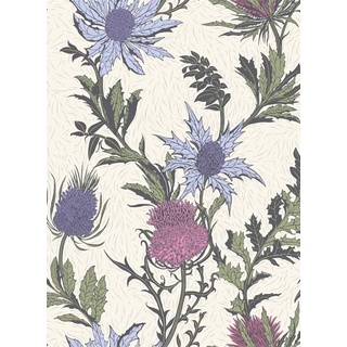 Distel Tapete Thistle von Cole and Son - Purple and White