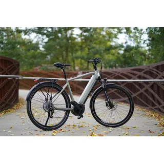 Prophete Trekking E-Bike Entdecker 4.0 Herren Moosgrau-Schwarz Mat 28 Zoll