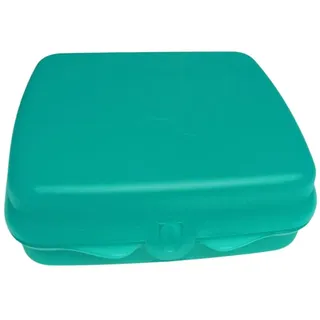 Tupperware Sandwich-Box Brotdose türkis | Quadratische Aufbewahrungsbox mit Scharnier & Verriegelung | Lunchbox für Sandwiches, Pausenbrot & Snacks | BPA-frei