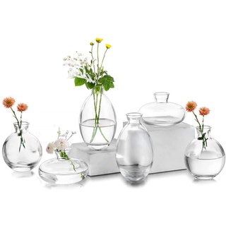 EylKoi Kleine Vasen füR Tischdeko Glas 2 Sätze(6 Stück) Transparent Mini Vase Vintage Handmade Hydroponic Glasvase Blumenvase Modern Set Fuer Hochzeit Tischdeko, Zuhause Wohnzimmer Blumen Rose