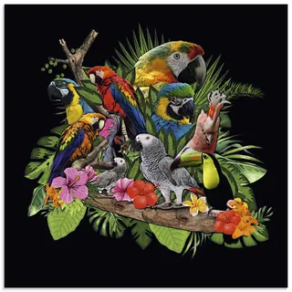 Glasbild ARTLAND "Papageien Graupapagei Kakadu Dschungel" Bilder Gr. B/H: 50 cm x 50 cm, Glasbild Vögel quadratisch, 1 St., bunt Glasbilder in verschiedenen Größen