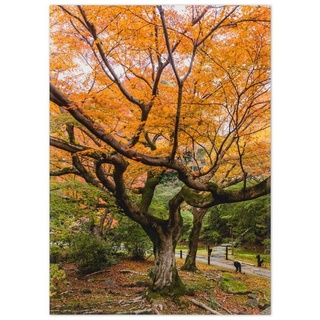 Teppich Gelber Ahornbaum im Herbst in Japan, Wallario, rechteckig, rutschfest gelb 50 cm x 70 cm