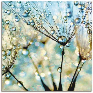 Leinwandbild ARTLAND "Pusteblume Blaue Diamanten", blau (farbe bild(er): blau), B:70cm H:70cm, Bilder, Leinwandbild, auf Holzrahmen gespannt