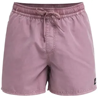 QUIKSILVER Boardshorts "Everyday Surfwash Volley 15", Herren, Gr. XL, grape shake, Obermaterial: 100% Polyester;, Hosen