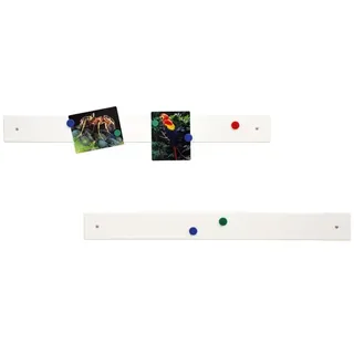 Wandleisten, Magnetleisten