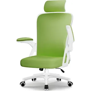 Hiazurm Bürostuhl, Bürostühle, Schreibtischstuhl, bürostuhl ergonomisch mit Verstellbarer Kopfstütze,Chefsessel, Drehstuhl 150kg - Grün