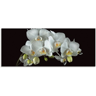 Glasbild ARTLAND "Weiße Orchidee auf schwarzem Hintergrund" Bilder Gr. B/H: 125 cm x 50 cm, Blumen, 1 St., weiß Glasbilder