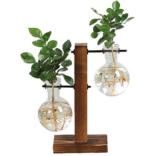 Hydroponik Hängevase Glasvase Blumenvase, Hydroponische Vase Deko Holz Halter mit Hydroponik Glasvase Hängevase Tischvase für Hydrokultur Pflanzen, Zuhause, Büro, Garten, Hochzeit Dekoration