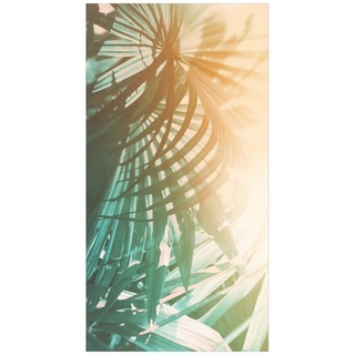 Duschrückwand - Tropische Pflanzen Palmen bei Sonnenuntergang, Material:Hartfolie Smart Glanz 0.32 mm, Größe HxB:1-teilig 200x80 cm