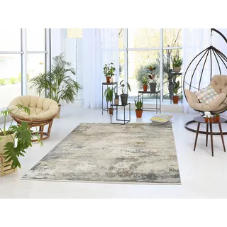 OCI DIE TEPPICHMARKE IMPRESSION GALAXY Teppich 67 x 130 cm Beige/Grau