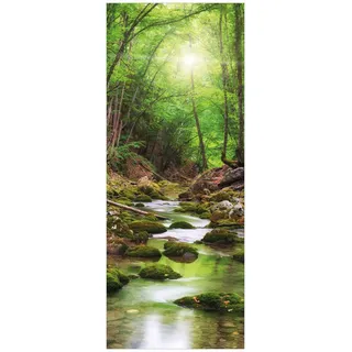 Wallario Glasbild Fluss im Wald - 50 x 125 cm Wandbilder Glas in Premium-Qualität: Brillante Farben, freischwebende Optik
