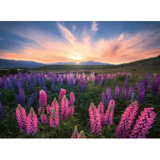 Ravensburger 17492 Lupinen - 500 Teile Puzzle für Erwachsene und Kinder ab 12 Jahren