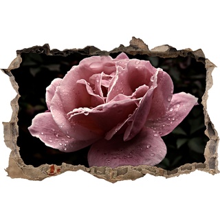 Pixxprint 3D_WD_S1556_62x42 schöne rosa Rosenblüte Wanddurchbruch 3D Wandtattoo, Vinyl, bunt, 62 x 42 x 0,02 cm