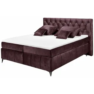 Roller Boxspringbett 180 x 200 cm H2 Aubergine
