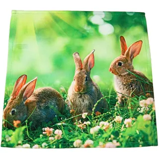 Tischdecken OSTERN 3 Hasen Wiese grün braun Fotodruck modern Polyester Osterdecke Ostertischdecke (Deckchen 40x40 cm)