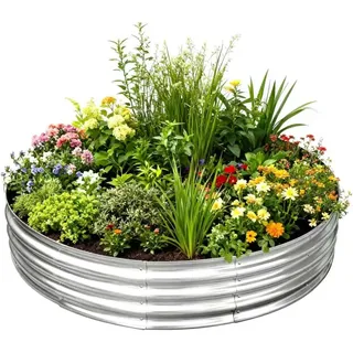 SASONCO Hochbeet Kit Obst Gemüse Blumen Pflanzkasten Garten Hochbeet Verzinkter Übertopf Hochbeet Outdoor Oval Groß für Obst Gemüse Blumen (Rund 90x29 Silber)