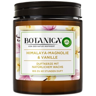 Botanica by Air Wick Duftkerze – Duft: Magnolie & Vanille – Nachhaltig hergestellt mit natürlichen Inhaltsstoffen – 500 g Kerze im Glas, 3185469, Braun