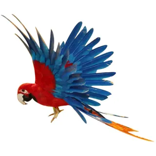 perfk Künstlicher Vogel Deko Tiere Figur Dekovogel Federvogel Dekofigur, 15,7 Zoll Rot und Blau