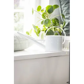 Gießkanne 1,4 L weiß