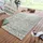 NORTHRUGS und Teppich 160x230cm Style Vintage Design für Terrasse Garten Wintergarten Wohnzimmerteppich in Grün