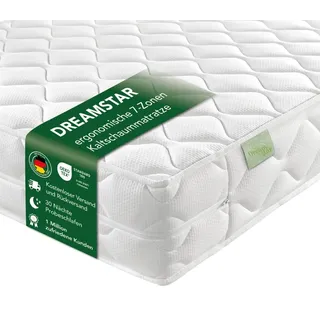 DREAMSTAR Ergo Flex Duo 7-Zonen Matratze 140x200 cm | H2&H3 | Ergonomische Kaltschaummatratze | Hypoallergen & Antibakteriell | Bezug abnehmbar & waschbar | Öko-TEX® | (16cm, 140 x 200 cm)