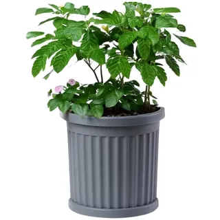 GarPet Pflanzkübel Groß Außen Pflanzkübel Halbrund direkt an der Wand Blumenkübel Groß Blumenkübel Outdoor Balkon Kübel Grau Wandkübel für Pflanzen Blumentopf Hoch 50 cm