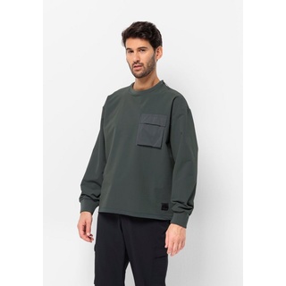 Jack Wolfskin Rundhalspullover WANDERMOOD PULLOVER M grün M (50)