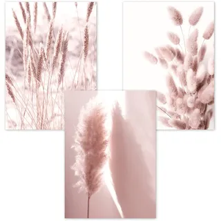 Trayosin Wandbilder Wohnzimmer 3er Premium Set Boho Rosa Pampasgras Poster Wandbilder Deko Bilder, Bilder Wanddeko Schlafzimmer, ohne Rahmen (A,60x80cm)