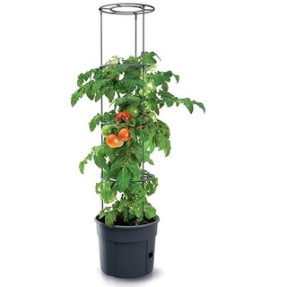 KOTARBAU® Tomatenturm 110 cm Tomatentopf Rankhilfe für Tomaten Gurken Gemüsen Anpassbare Rankgitter Pflanz-Türme ⌀ 30 cm Blumentopf Pflanzkübel Schwarz Kunststoff
