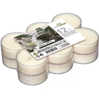 Duftteelichte JUMBO VANILLE