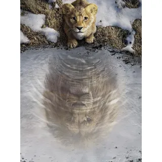 KOMAR Wandbild- Disney Mufasa The Lion King - Größe 30 x 40 cm - Poster, Kinderzimmer, Dekoration - gerollt ohne Rahmen, Blau,Braun