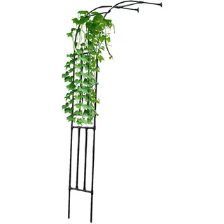 Halber Rosenbogen,Torbogen Rankgitter Metall,Gartenbogen Für Kletterpflanzen,Rosen Spalier Gegen Die Wand,Rosenbögen Rankhilfe,Rankbogen Pergola,Breite 90/180/200/300cm,Schwarz(HxBxT: 240 x 150 x 40 c