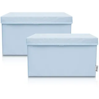 Lifeney Aufbewahrungsbox 2er Set 37 x 25 x 21 cm hellblau
