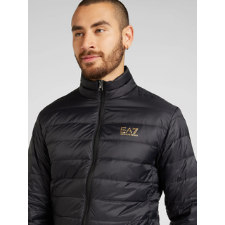 EA7 Emporio Armani Jacke Core Identity gold / schwarz XL
