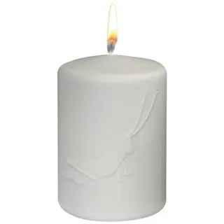 Kopschitz Kerzen Osterkerze Stumpenkerze Grashüpfer Hellgrün 100 x Ø 70 mm, Designerkerze Ostern, Frühling, Sommer