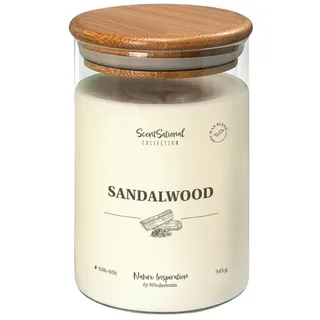 Wiedemann Kerzen Duftkerze im Glas "Sandalwood" 345g, 1 Stück