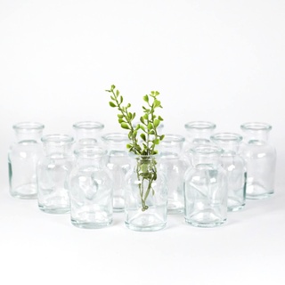 gouveo 12er Set Glasvasen Clear-Bottle 60 - Mini Blumenvasen aus Glas - Kleine Deko-Vasen für Zuhause, Hochzeiten, Geburtstage, Feste
