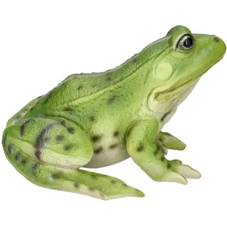 Figuren Shop GmbH Gartenfigur Gartenfigur - Großer Frosch grün - Tierfigur HotAnt Garten Figur Deko