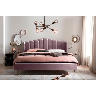 Polsterbett SALESFEVER Betten Gr. Samtoptik, Liegefläche B/L: 140 cm x 200 cm Betthöhe: 39 cm, kein Härtegrad, rosa (rose) Polsterbetten ohne Bettkasten Samt-Bezug, goldfarbene Metallfüße