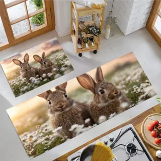 JEDTAKCT Küchenteppich Sets 2 Stück Süßes Kaninchen rutschfeste Küchenteppiche Matten Waschbare Flur Teppiche Gänseblümchenwiese Küchenbodenmatte Läufer Teppiche, Hellbraun, 50X80Cm+50X150Cm