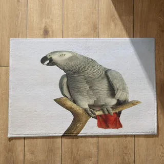 EHOMERY Schmutzfangmatte Innen Läufer Fussmatte Innen Schmal Lang Papagei Schmutzfangmatte Für Draußen Türmatte Schmal 50x80cm, rutschfeste Dekorative Fußmatte Aus Plüschbaumwolle