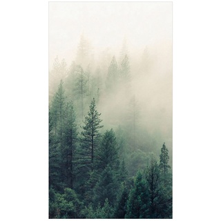 Duschrückwand - Wald im Nebel Erwachen, Material:Alu-Dibond Matt Schutzlackiert 3 mm, Größe HxB:1-teilig 210x90 cm