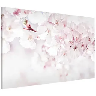 Bilderdepot24 Magnettafel Küche rosa Ein Kirschblütenhauch, (1-tlg., Magnetboard Pinnwand für die Wand - metallische Tafel für Magnete), Magnetwand groß mit Motiv Büro Memoboard magnetisch Querformat rosa 90 cm x 60 cm