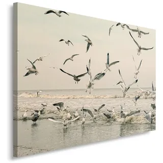 Feeby. Wandbild - 1 Teilig - 60x80 cm, Leinwand Bild Leinwandbilder Bilder Wandbilder Kunstdruck, MÖWEN, MEER, NATUR, GRAU