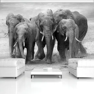 Famanu Fototapete Afrika Natur Elefant - Vliesbehang