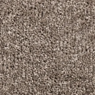 BODENMEISTER Teppichboden "Veloursteppich Pegasus" Teppiche Wohnzimmer, Schlafzimmer, Kinderzimmer, Breite 400500 cm Gr. B/L: 450 cm x 400 cm, 10 mm, 1 St., grau (grau beige) Teppichboden