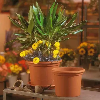 Euro3Plast Geo Ø 50 x 38 cm terracotta